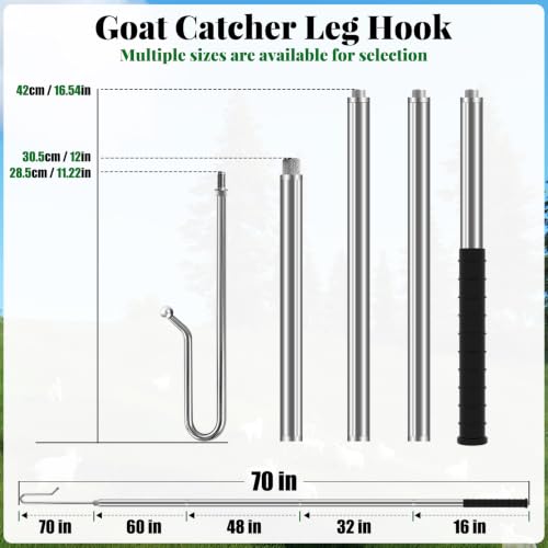 304 Stainless Steel Goat Sheep Catcher Hook, Adjustable Livestock Leg Grabber Tool 44"–70", Heavy Duty Shepherd Crook for Farm Shearing, Milking & Health Checks