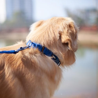 Hyhug Martingale Collar for Dogs Small Blue |Escape - Proof Heavy Duty Nylon Durable No Buckle, Ideal for Training & Daily Walks | Heavy-duty nylon delivers gentle control for puppies. Ideal for training and park walks. Adjustable, comfortable, and secure