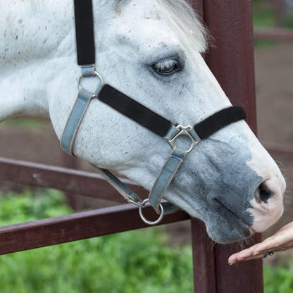 8 Pcs Fleece Halter Covers for Horse Halter and Bridle