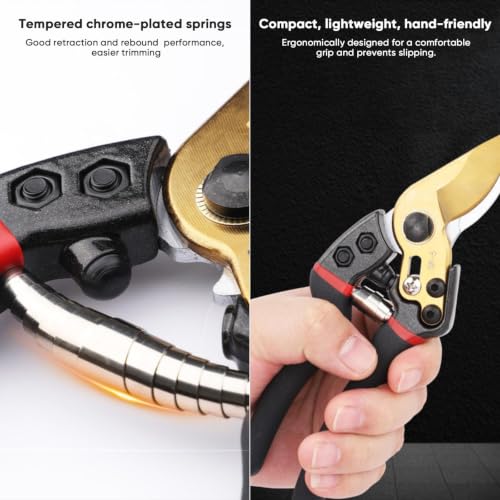 Professional Livestock Grooming Kit with Stainless Steel Shears