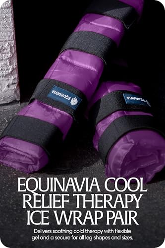 Equinavia Cool Relief Therapy Equine Ice Boots for Horses-Gel Cooling Wraps - color: Purple - Pair