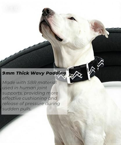 Dog Collar for Large Dogs,2 in Wide Heavy Duty,Pressure-Relief Padded, E-L - color: Charcoal Black, size: L