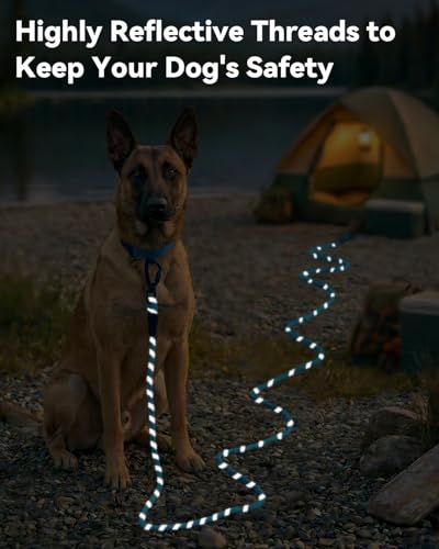 Joytale Long Dog Leash for Yard Tie Out & Recall Training, Blue, 30FT - color: Blue, size: 30FT