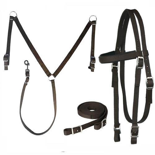 Majestic Ally Nylon Padded Equestrian Browband Headstall, Reins & BreastCollar Set for Horse- Full - color: Chocolate