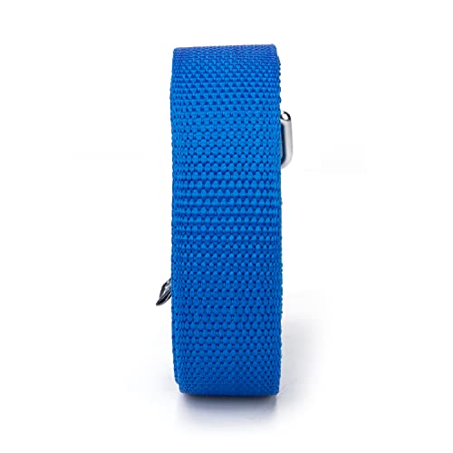 Strong Durable Nylon 15ft Long Dog Training Leash, Traction Rope, 1 Inch Wide, for Small and Medium Dog (Blue, 15 Feet) - color: Blue, size: 15 Feet