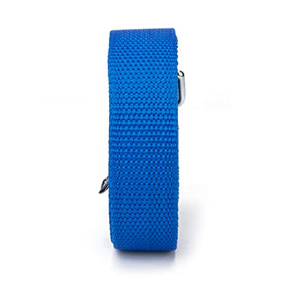 Strong Durable Nylon 15ft Long Dog Training Leash, Traction Rope, 1 Inch Wide, for Small and Medium Dog (Blue, 15 Feet) - color: Blue, size: 15 Feet