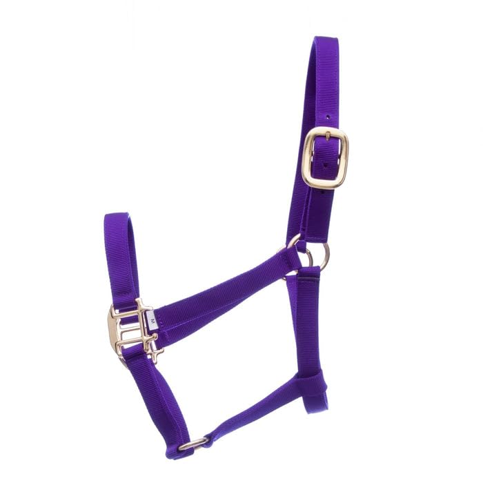 Jeffers Premium Nylon Weanling Horse Halters, 3 Ply, 1", Adjustable Equine Halter with Double Bar Buckle & Cast Hardware, Durable Nylon Horse Tack for Training, Grooming & Stable Use - Purple - color: Purple