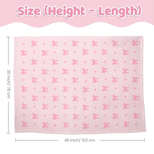 SANDJEST Pink Bow Minky Blanket 30 x 40 Inches, Gift for Christmas Birthday - color: Bow