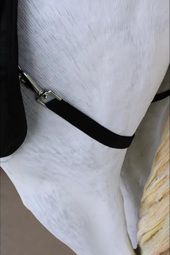 Challenger 1200D Horse Turnout Waterproof Heavy Weight Winter Blanket 5EE20RD - color: Red/Black, size: 76 inches