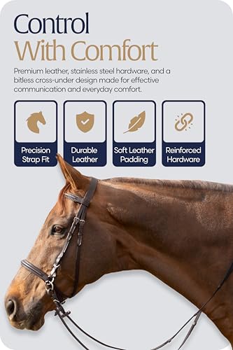 Equinavia Saga Leather Horse English Bridle, Stainless Steel Hardware Reins - color: Chocolate Brown, size: Warmblood