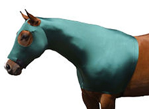 for Horses Large Solid Zipper Stretch Hood - Teal