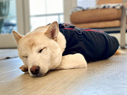 Gooby Zip-Up Fleece Dog Sweater, Black, Small - color: Black, size: Small chest (~13.5")