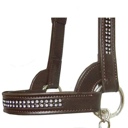 Derby Originals New and Improved Premium Crystal Bling Rhinestone Inlay Flat Leather Cattle Show Halter with Matching Chain Lead - color: Black, size: Medium (650-1050lbs)