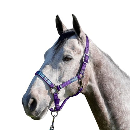 Kensington Premium Breakaway Halter with Padded Nose — Added Breakaway Safety Measures — Snap at Throat for Identical Fit Each Time - color: 2019 - Imperial Jade, size: Medium