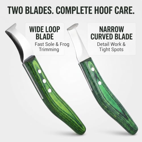 2-Piece Loop & Hoof Knife Set, J2 Stainless Steel
