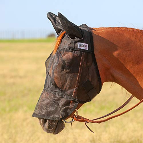 Cashel Quiet Ride Horse Fly Mask with Long Nose and Ears, Black, Arabian - size: Arabian