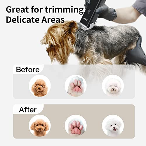 Home Professional Dog Grooming Kit Clipper Low Noise USB Rechargeable for Dog Cat - color: Ap005-black