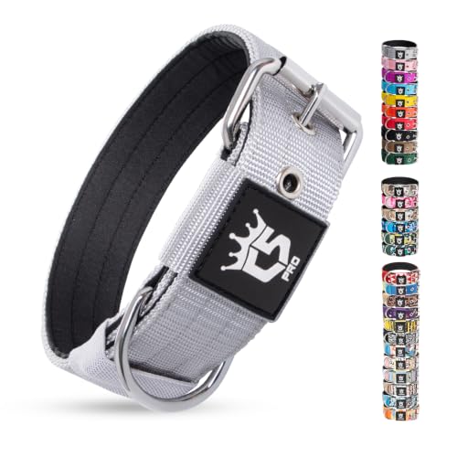 TSPRO Heavy Duty Thick Dog Collar with Metal Buckle for Small Dogs - color: Basic Silver, size: S – Fits Neck 12.6"-15.8"
