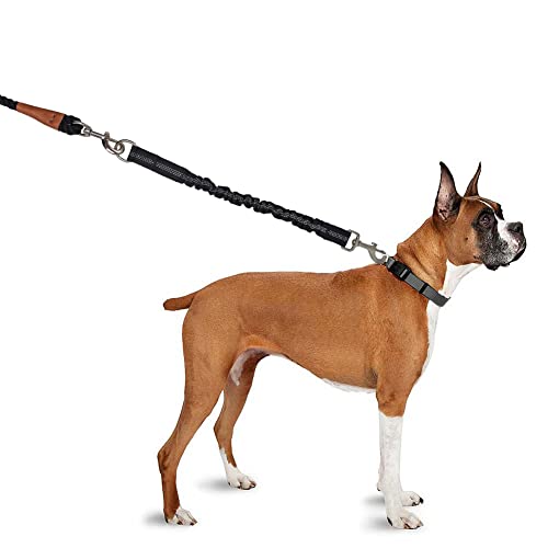 8FT Dog Tie-Out Rope + Bungee Dog Leash Extension