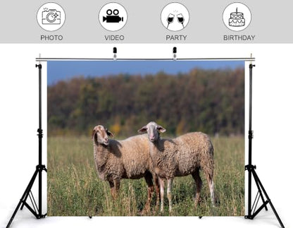 6x4ft Fabric Two Wool Sheep Backdrop Curly Light Fur Green Wild Grass Autumn Woodland Blur Background Photography Background Tapestry Farm Animal Portrait Photo Booth Props - size: 6x4ft