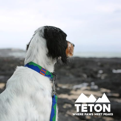 Charlie’s Backyard Teton Dog Collar, Urban to Trail Lightweight & Adjustable with Quick Release DURAFLEX Buckle, Durable D-Ring & All-Day Comfort, Sierra Dream, Small - color: Sierra Dream, size: Small