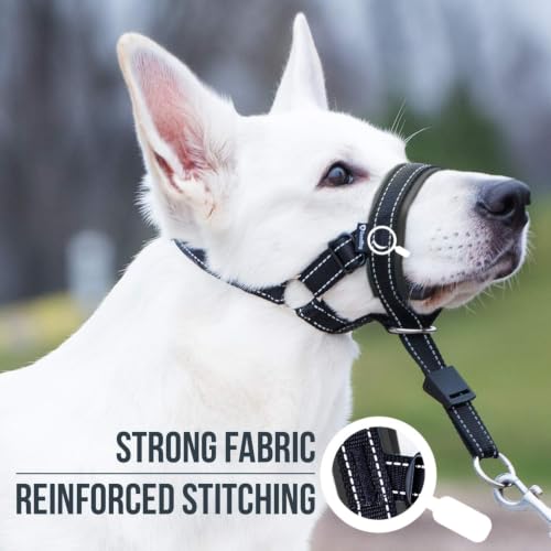 GoodBoy Dog Head Halter with Safety Strap - Stops Heavy Pulling On The Leash - Padded Headcollar for Small Medium and Large Dog Sizes - Head Collar Training Guide Included (Size 1, Black) - color: Black Nylon / Black Padding, size: Size 1