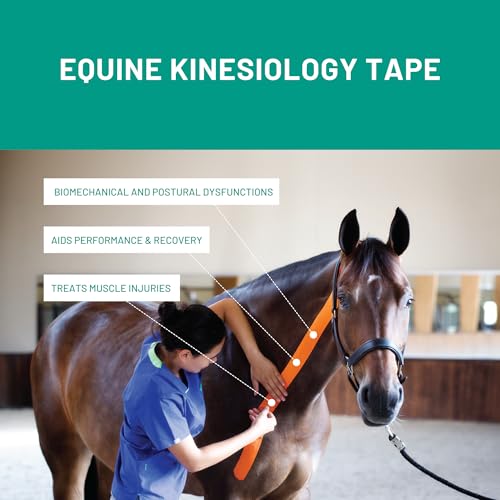 VetkinTape Canine & Equine Kinesiology Tape | Veterinary Tape 2.4" - color: Lime