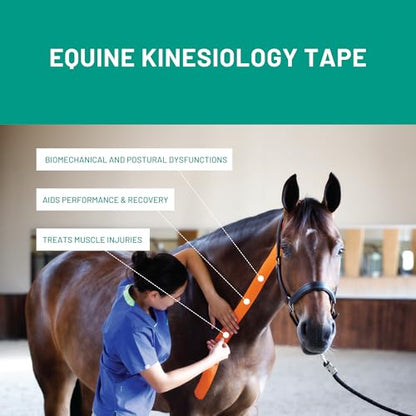 VetkinTape Canine & Equine Kinesiology Tape | Veterinary Tape 2.4" - color: Lime