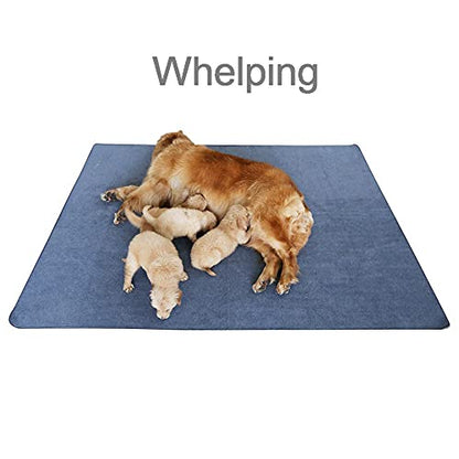 Peepeego Non-Slip Dog Pee Pad 65"x48" Washable,Waterproof for Training, Whelping - size: 65x48 Inch（Pack of 1)