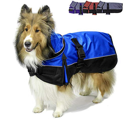 Derby Originals Safety Reflective 1200D Ripstop Waterproof Nylon Winter Dog Coat with Removable Neck Cover and Two Year Warranty - 220g Polyfil Insulation (17", Royal Blue/Black) - color: Electiric Blue/Black, size: 17"