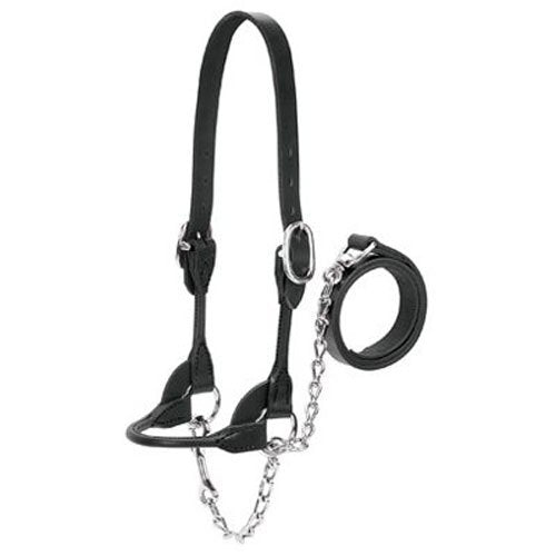 Weaver Leather Livestock Dairy/Beef Rounded Show Halter, Black, X-Small - color: Black, size: X-Small