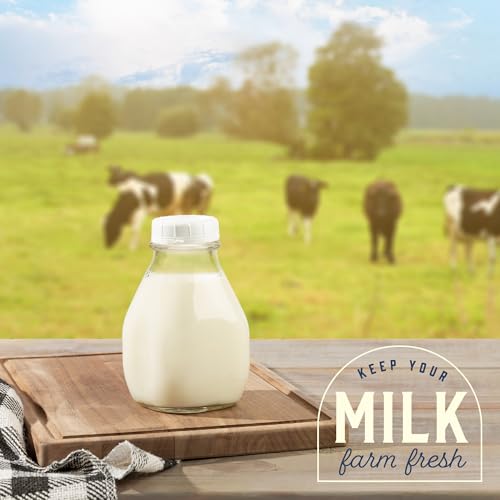 kitchentoolz 16 Oz Glass Milk Bottles with Lids (4 Pack) – Reusable Glass Creamer and Juice Bottles – Includes 8 Tamper-Proof Airtight Caps and One Silicone Pour Spout - size: 16 Ounce