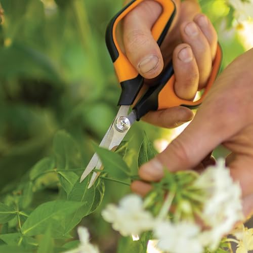 Fiskars 7" Loop Micro-Tip Pruning Shears, Garden Snips for Intricate Cuts | For Trimming Flowers, Plants & Herbs, Steel Blades Stay Sharp, X-Large SoftGrip Loop Handles, Ambidextrous, Includes Sheath - style: Micro-Tip Shears