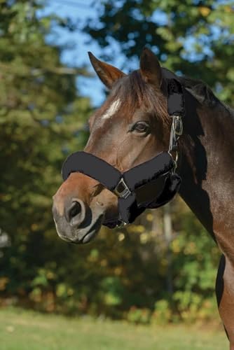 Shires ARMA SupaFleece Halter Set - 6-Piece Protective Fleece Black / 6 Piece - color: Black, size: 6 Piece