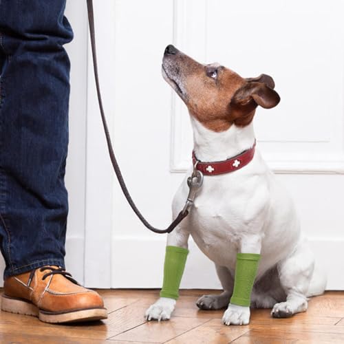 4 PCS Dog Leg Protective Sleeve for Front Rear Legs Prevent Licking - color: Green, size: S-Leg Girth: 2.04in
