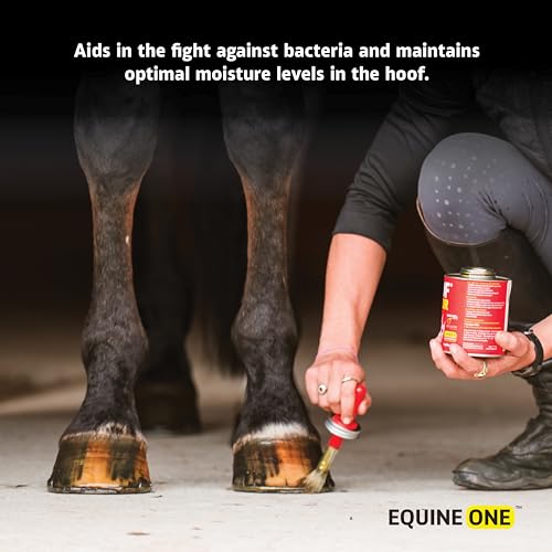 Equine One Natural Hoof Dressing - 100% All-Natural Hoof Care Product - Abscesses || Thrush || White Line || Quarter Crack (16 fl.oz) - size: 16 fl.oz