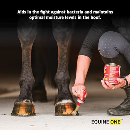 Equine One Natural Hoof Dressing - 100% All-Natural Hoof Care Product - Abscesses || Thrush || White Line || Quarter Crack (16 fl.oz) - size: 16 fl.oz