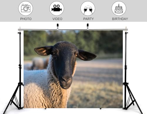 6x4ft Fabric Black Face Wool Sheep Close Up Backdrop Farm Grass Pasture Blurred Green Bush Background Tapestry Party Farm Animal Portrait Decorations Banner Photo Booth Props - size: 6x4ft