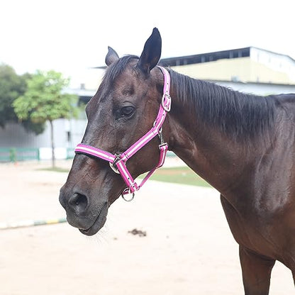 Adjustable Horse Halters - Heavy Duty Nylon Webbing & Hardware, Padded with Anti Chafing Foam-Cushioned on Crown & Nose - color: Rose Red, size: Cob