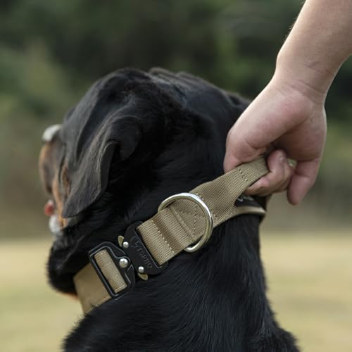 TSPRO Heavy Duty Tactical Dog Collar Quick Release Metal Buckle with Handle | Premium Dog Collar, Military Nylon, 1.25 Inch Wide, Soft Padded, Thick, Durable, Adjustable for Medium & Large Dogs (Green M) - color: Basic Green, size: M, Handle Style, Neck 1