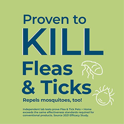 Wondercide - Flea, Tick & Mosquito Spray for Dogs, Cats, and Home - Flea and Tick Killer, Control, Prevention, Treatment - with Natural Essential Oils - Pet and Family Safe - Rosemary 4 oz - color: Rosemary, size: 4 OZ