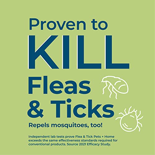 Wondercide - Flea, Tick & Mosquito Spray for Dogs, Cats, and Home - Flea and Tick Killer, Control, Prevention, Treatment - with Natural Essential Oils - Pet and Family Safe - Rosemary 4 oz - color: Rosemary, size: 4 OZ