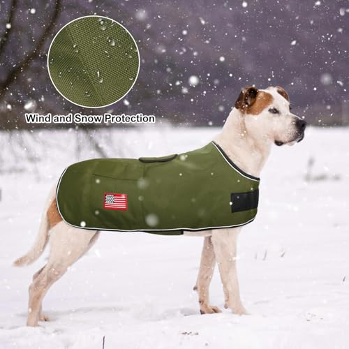 BEAUTYZOO Dog Winter Coat for X-Large Dogs, Waterproof Canvas Jackets - color: Green, size: XL(Chest Girth 34"-45", Back 24", Neck 24"-29")