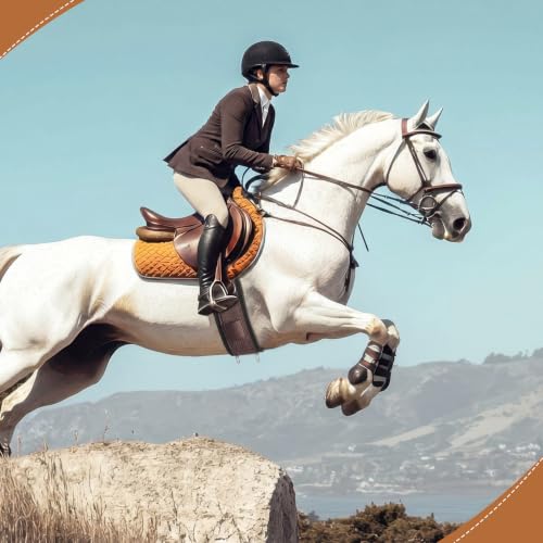Eccliy 32 Inch Equine Horse Cinch Elastic Saddle Cinch Girth with Buckle for Western Horse Riding Supplies - color: Brown
