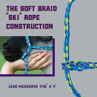 Weaver Livestock Poly Rope Sheep Halter, Modern Style Braid Sheep and Goat Rope Halter, Adjustable Lamb Halter Lead, Livestock Sheep Showing Supplies - color: Lime/Hurricane Blue/Royal Blue