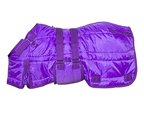 Derby Originals Windstorm 420D Medium Weight Mini Horse & Pony Stable Blanket – Closed Front, 200g Insulation, Breathable Triple-Layer Design, 70T Lining, for Indoor Use Only
