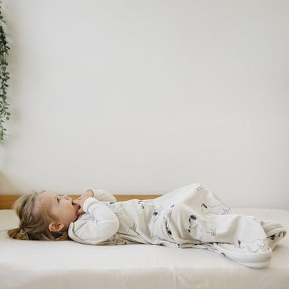 Woolino Toddler Sleeping Sack, 4 Season Merino Wool and Organic Cotton Baby Sleep Bag, 2-4 Years, Puppy - color: Puppy