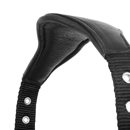 LeMieux Capella Headcollar for Horses - Leather/Nylon - Pressure Relief & Soft Touch - color: Black