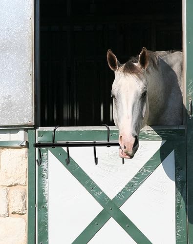 QWORK Steel Tack Rack with Swivel Hooks, 2 Pcs Portable Tack Hangers, 17" Horse Tack Holder