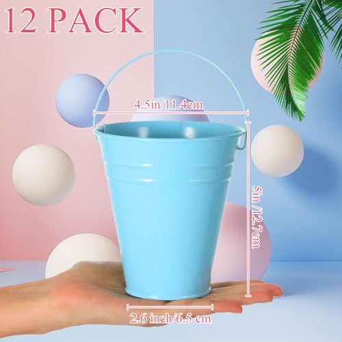 Sadnyy 12 Pack 4.5 X 5 inch Pink Blue Metal Buckets - color: Pink Blue, size: 4.5 x 5 in